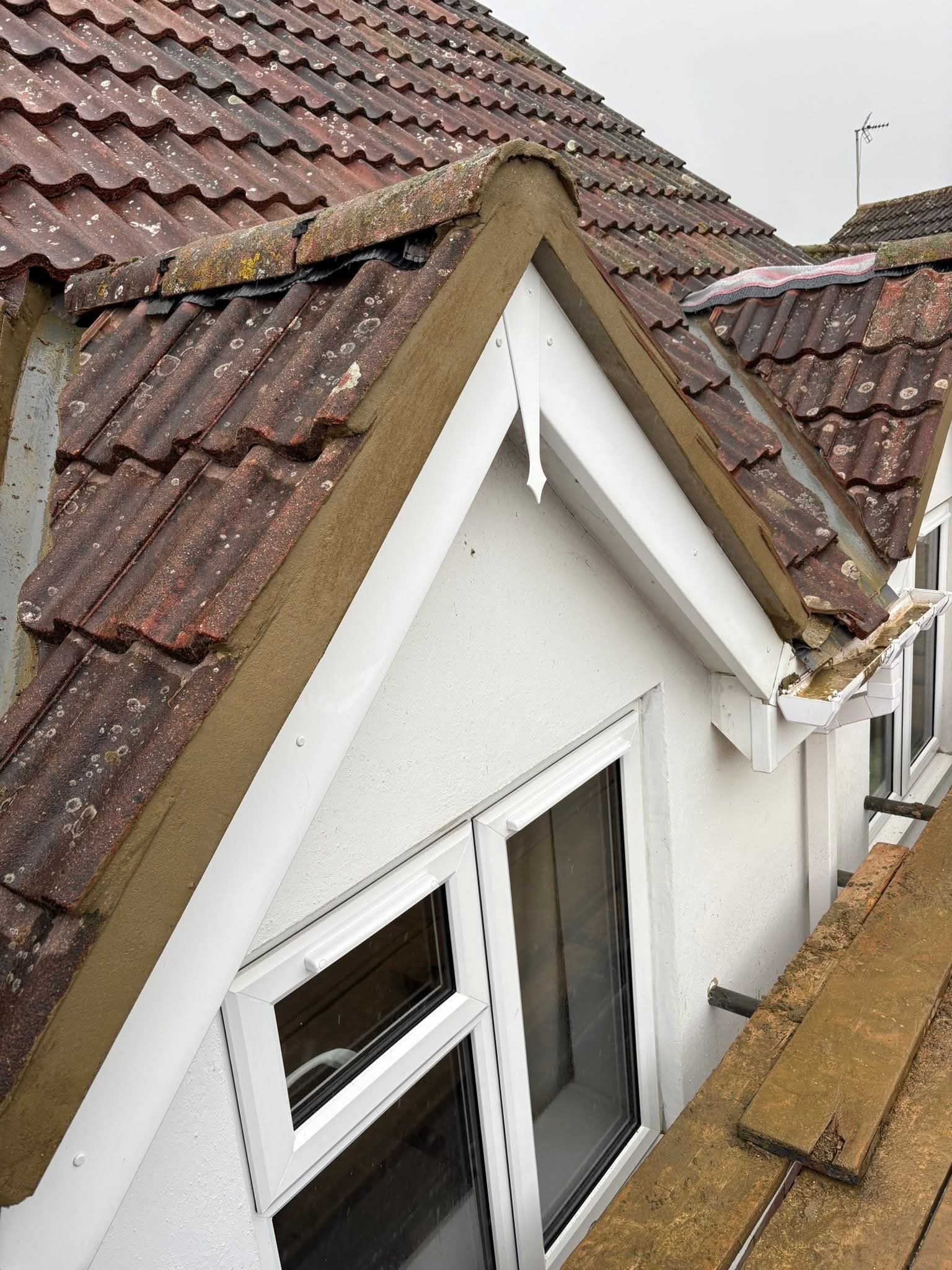 Moss removal and roof cleaning result